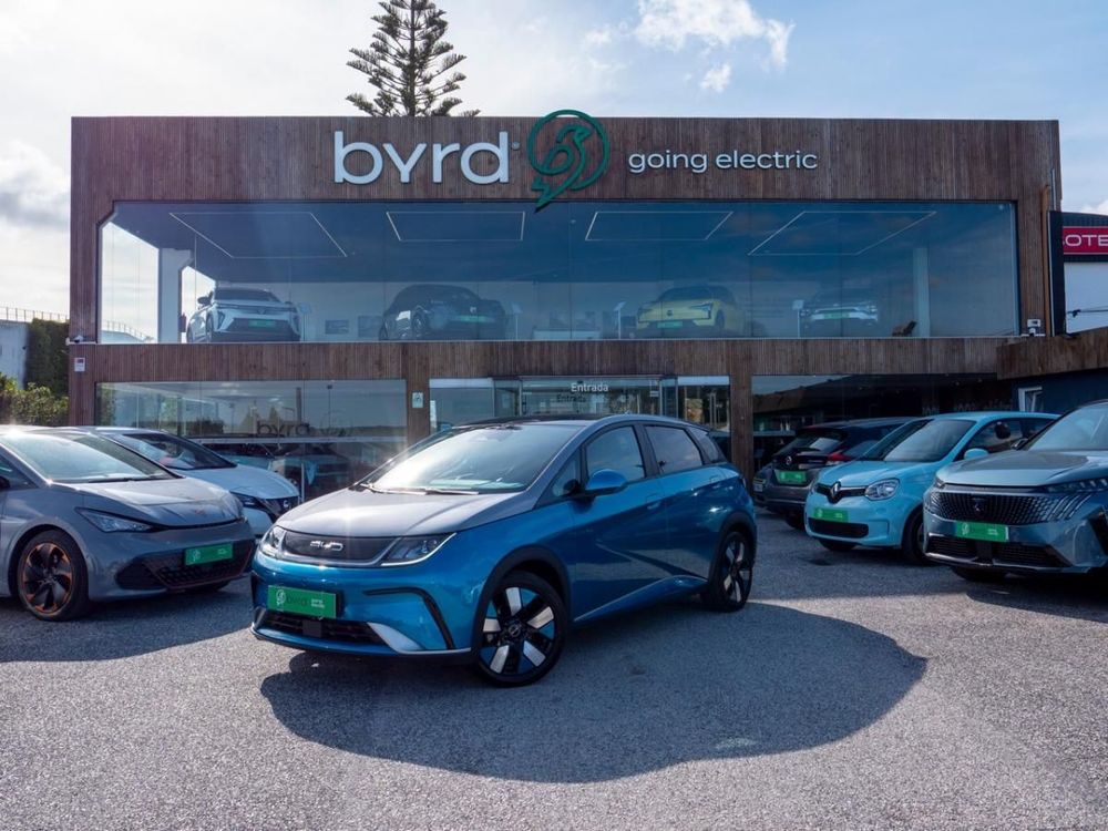 BYD Dolphin - Photo 1