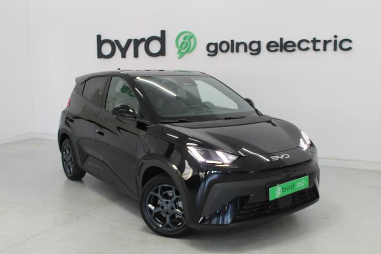 BYD Dolphin Surf - Photo 1