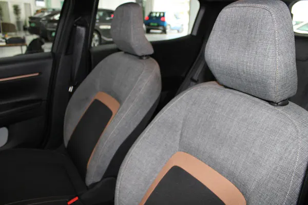 Citroen e-C3 Aircross - Photo 11