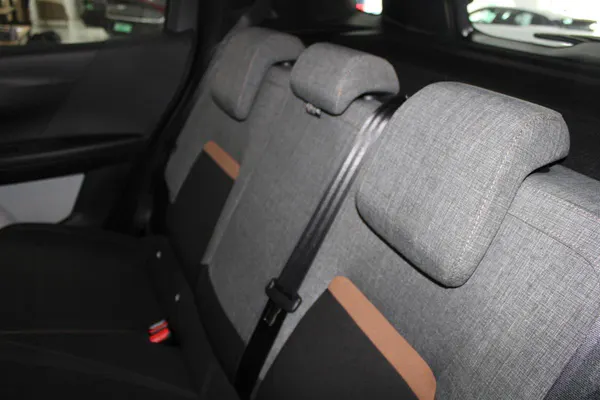 Citroen e-C3 Aircross - Photo 13