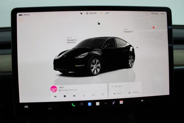 Tesla Model Y - Photo 14
