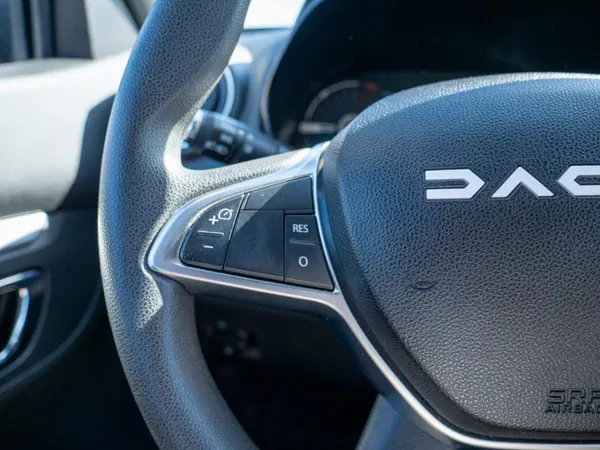 Dacia Spring - Photo 29
