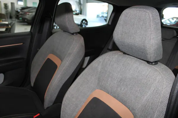 Citroen e-C3 Aircross - Photo 10