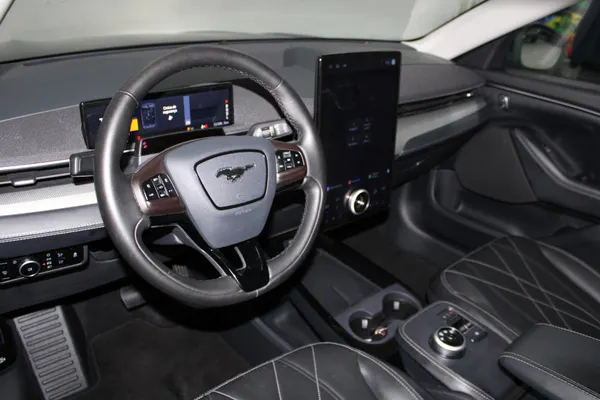 Ford Mustang Mach-E - Photo 12