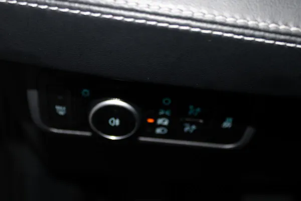 Ford Mustang Mach-E - Photo 15