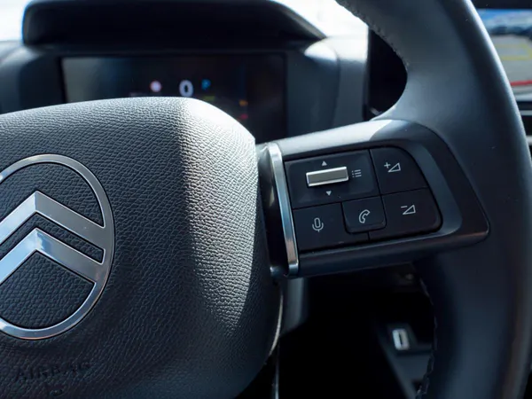 Citroen e-C4 X - Photo 30