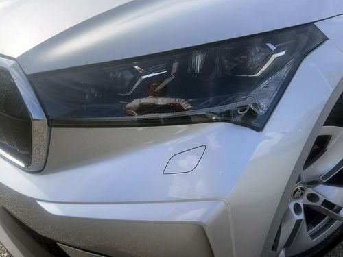 Skoda Enyaq - Photo 7
