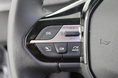 Peugeot e-308 - Photo 13