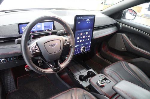 Ford Mustang Mach-E - Photo 11