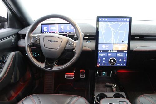 Ford Mustang Mach-E - Photo 14