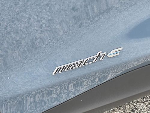 Ford Mustang Mach-E - Photo 9