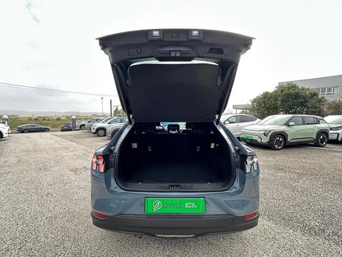 Ford Mustang Mach-E - Photo 17