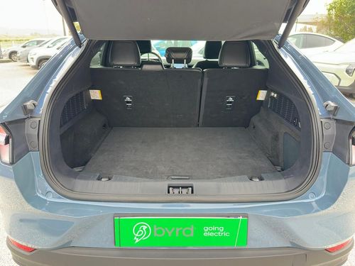 Ford Mustang Mach-E - Photo 18