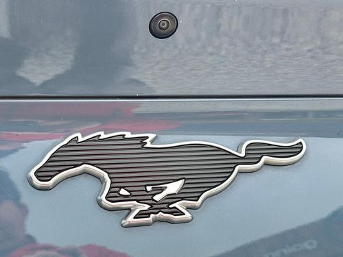 Ford Mustang Mach-E - Photo 19