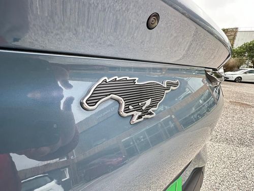 Ford Mustang Mach-E - Photo 22