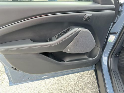 Ford Mustang Mach-E - Photo 24