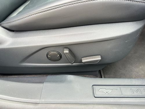 Ford Mustang Mach-E - Photo 29