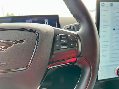 Ford Mustang Mach-E - Photo 33