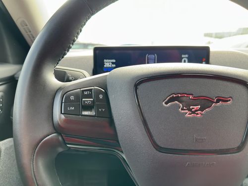 Ford Mustang Mach-E - Photo 32