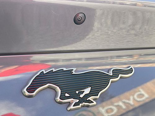 Ford Mustang Mach-E - Photo 19