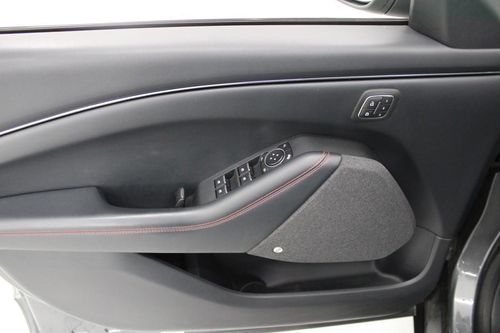 Ford Mustang Mach-E - Photo 9