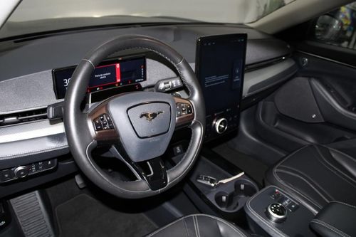 Ford Mustang Mach-E - Photo 11