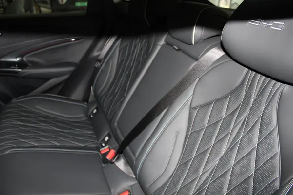 BYD Seal - Photo 13
