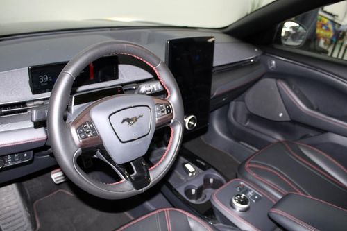 Ford Mustang Mach-E - Photo 11