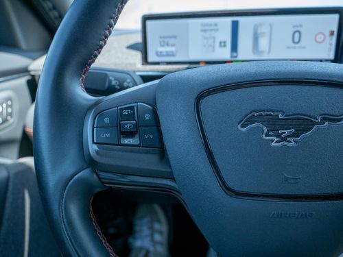 Ford Mustang Mach-E - Photo 33