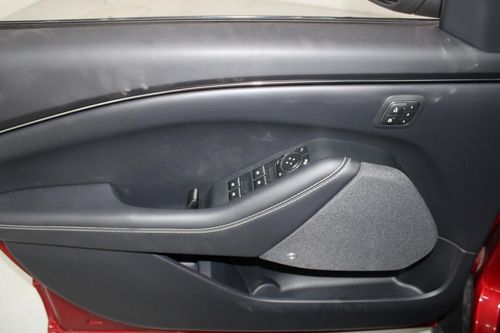 Ford Mustang Mach-E - Photo 9