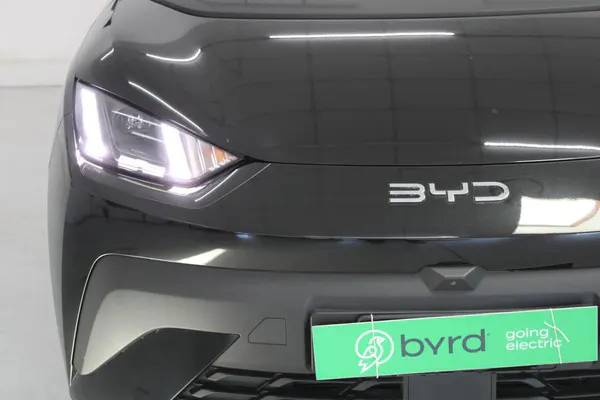 BYD Dolphin Surf - Photo 3