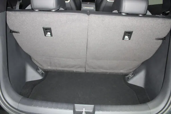 BYD Dolphin Surf - Photo 8