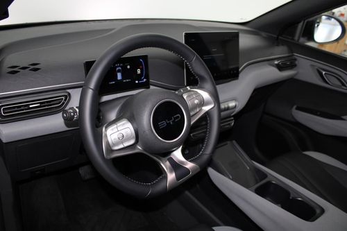 BYD Dolphin Surf - Photo 11