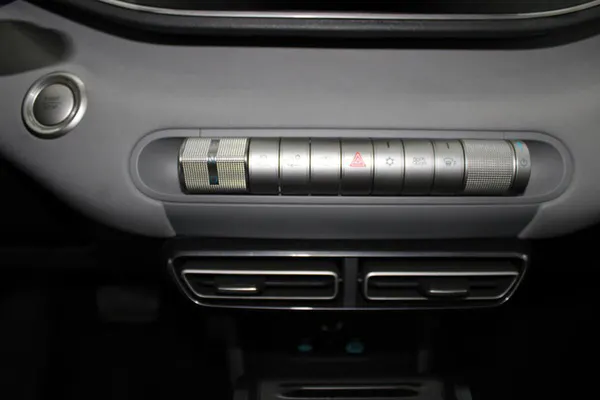 BYD Dolphin Surf - Photo 19
