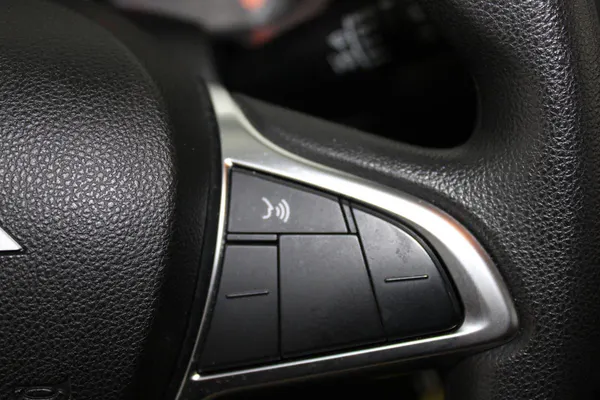 Dacia Spring - Photo 16