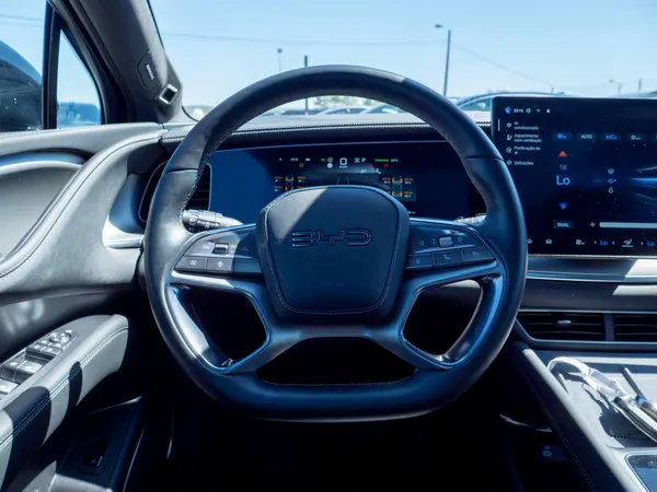 BYD Sealion 7 - Photo 32
