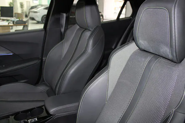 Peugeot e-2008 - Photo 10